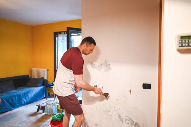 Best Emergency Mold Removal  in Norton, VA